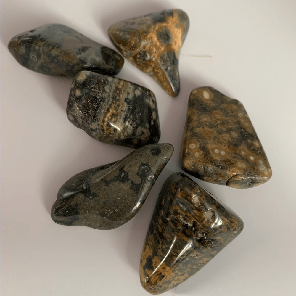 Beautiful Ocean Jasper. Set of 6